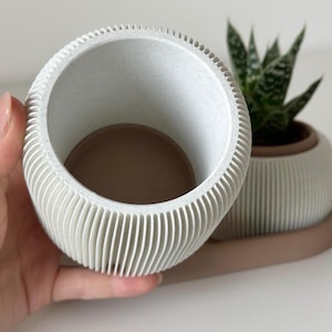 May include: A white, ribbed ceramic planter with a speckled interior. The planter is held in a hand and has a matching saucer. A second planter with a small succulent plant is also visible. The planters are a neutral colour, suitable for various home decor styles.