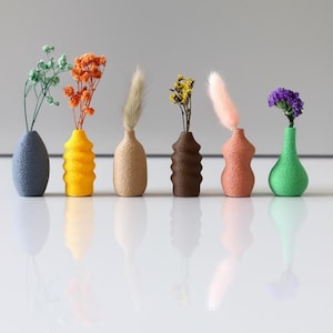 Könnte beinhalten: Sechs kleine, farbenfrohe Vasen, jede mit einer anderen Trockenblume. Die Vasen sind in Blau, Gelb, Beige, Braun, Pfirsich und Grün gehalten. Die Blumen sind grün, orange, beige, gelb, rosa und lila.