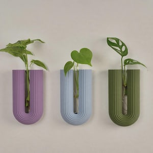 Puede incluir: Tres maceteros de pared en forma de U con textura acanalada vertical. Los maceteros son de color morado, azul claro y verde oliva, cada uno contiene un tubo de vidrio transparente con una pequeña planta verde con hojas que sobresalen.