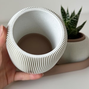 May include: A white, ribbed planter with a speckled interior is held in a hand. The planter sits on a matching tray. Another planter with a succulent plant is in the background. The planters are a neutral colour.