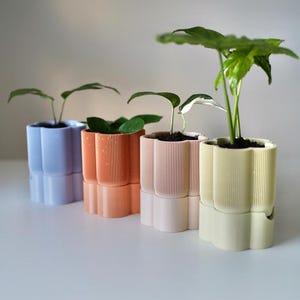 Maceta autorriego Flollia, moderna maceta de interior con forma de flor y depósito de agua incorporado