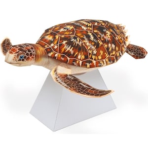 Sea turtle papercraft, marine turtles, Paper Model, papercraft template kit, Animal