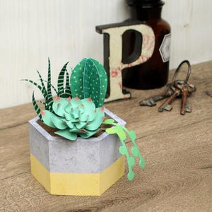 Succulents container papercraft, ornamental plant, plants, DIY paper model, printable papercraft, template kit, pdf