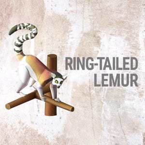 Ringstjärtad lemur papperspyssel, djur, pappersmodell, papperspysselmallkit, utskrivbart papperspyssel, pdf