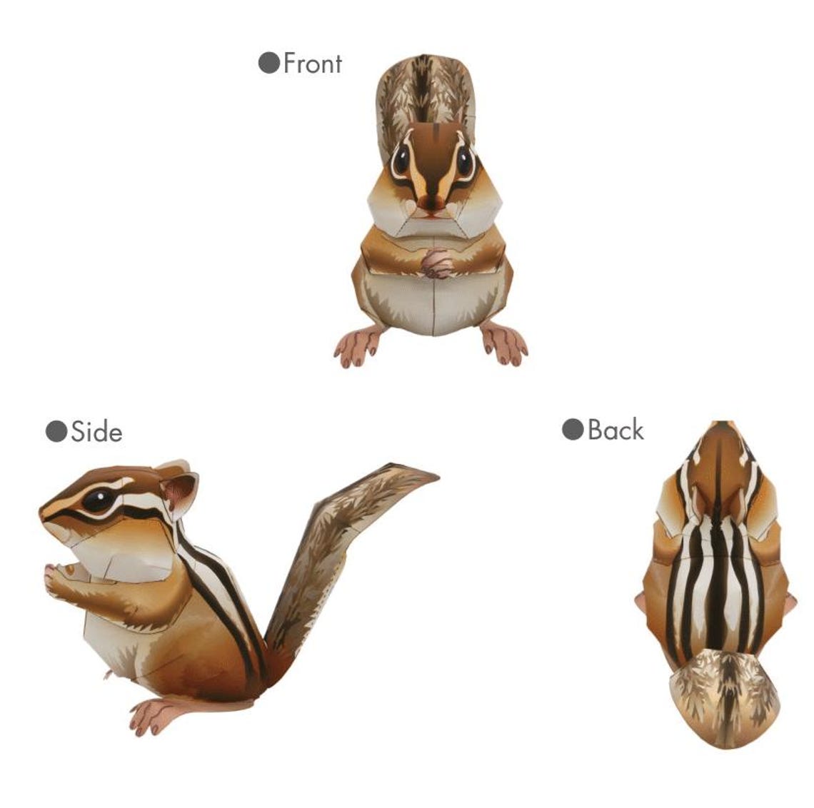 Chipmunk Papercraft, Paper Model, Papercraft Template Kit, Animal, Pdf ...