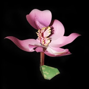 May include: A papercraft flower with pink petals and a yellow and pink center, set against a black background. The flower has a green leaf with white spots at the base. The petals have subtle white lines.