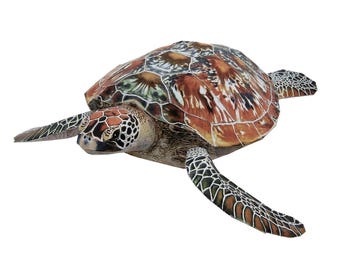 Zielony żółw morski, model papierowy, zestaw szablonów do modeli papierowych, zwierzę, pdf, model papierowy do druku