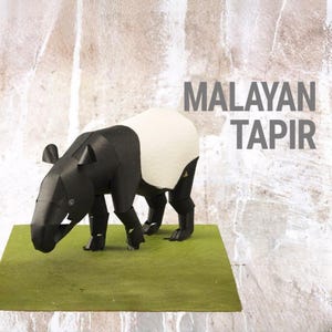 Puede incluir: Un tapir malayo de papel maché se encuentra sobre una superficie verde. El tapir es negro con una marca blanca en forma de silla de montar en su espalda. El texto "MALAYAN TAPIR" se muestra en letras grises sobre el fondo.
