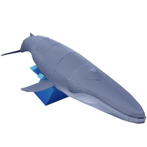 Blue Whale, marine mammal, Paper Model, papercraft, papercraft template kit, Animal