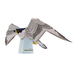 Puede incluir: Un halcón de papel con las alas extendidas, que muestra un patrón detallado de plumas negras y blancas. El ave tiene una cabeza azul oscuro, pico y patas amarillas, y está montada sobre un soporte azul claro. La palabra "Falcon" está impresa en el soporte.