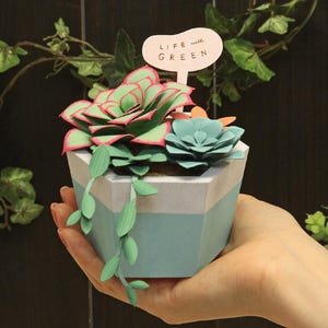 Succulents container papercraft, ornamental plant, plants, DIY paper model, printable papercraft, template kit, pdf