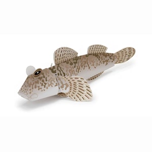 May include: A paper craft model of a mudskipper fish featuring a light beige and brown mottled camouflage pattern. The figure has prominent raised eyes, large pectoral fins, and a segmented body structure with visible fold lines and tabs.