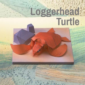 Tortuga boba de papel, modelo de animal, kit de plantillas de papel, manualidad de papel imprimible, PDF