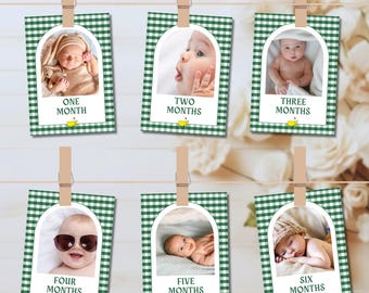 Golf Monthly Milestone Cards with Photo, Mastered First Year, Golf Birthday, Let&#39;s Par-Tee, Printable Masters 1st Birthday Photo Banner
