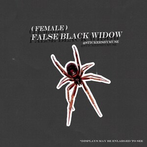 May include: A sticker featuring a detailed illustration of a False Black Widow spider, with a dark red body and brown legs, set against a dark gray background. Text includes "(FEMALE) FALSE BLACK WIDOW" and "@STICKERSBYMUSE".