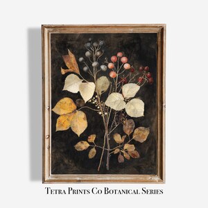 Winter Berry Print Botanical Wall Art Vintage Nature Art Rustic Home Decor
