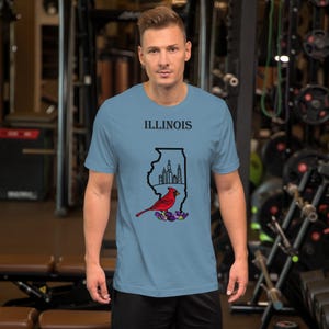 Camiseta de Illinois