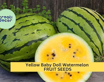 50+ Yellow Baby Doll Watermelon Seeds – Sweet Golden Flesh for Garden Planting, Compact Early Harvest Variety – USA