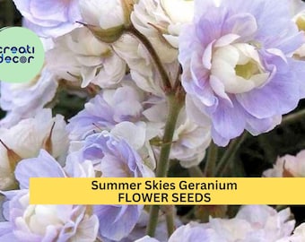 25+ Summer Skies Geranium Seeds – Soft Lavender-Blue Blooms for Garden Planting, Cottage-Style Borders & Pollinator Gardens – USA