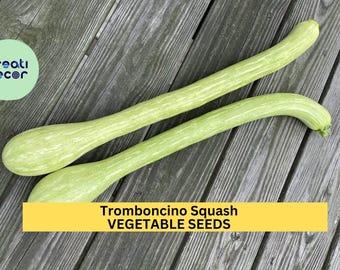 Tromboncino Squash Seeds – 25+ Seeds – Heirloom Climbing Zucchini for Trellises, Summer or Winter Harvest, and Edible Gardens – USA