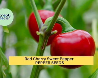 3pcs of 250mg Red Cherry Sweet Pepper Seeds – Mild, Round Heirloom Variety, Perfect for Pickling, Salads & Garden Growing Seeds for Planting
