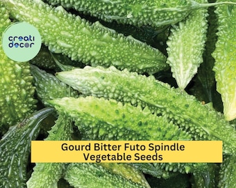 3pcs of 5 Seeds Bitter Melon Futo Spindle – Asian Gourd Variety for Summer Gardens, Trellis Growing & Traditional Cooking Seeds for Planting