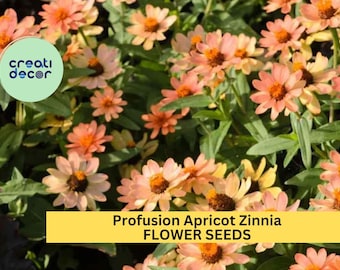 100+ Profusion Apricot Zinnia Seeds – Soft Orange-Peach Blooms for Garden Planting, Heat-Tolerant Compact Flowers – USA