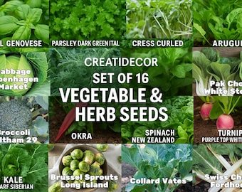 Set of 16 Vegetable & Herb Seeds – Garden Starter Pack with Basil, Arugula, Kale, Broccoli, Cilantro, Okra, Spinach and More – USA