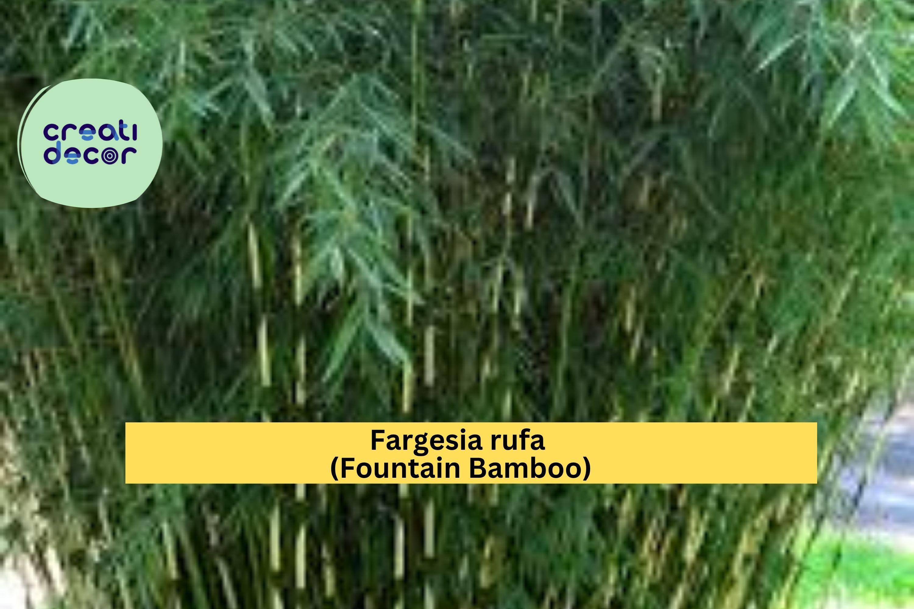 künstliche palmen amazon Künstliche Areca Palme - Amelie | 180 cm main image 0