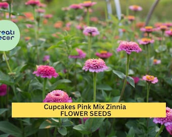 Cupcakes Pink Mix Zinnia Seeds – 100+ Seeds – Frilly Pink Blooms for Pollinator-Friendly Garden Beds, Borders, and Cut Flower Gardens