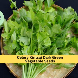 May include: A bunch of dark green celery kintsai vegetable seeds in a woven basket. The basket is on a black surface.  "Celery Kintsai Dark Green Vegetable Seeds" is written in yellow text on a yellow banner.