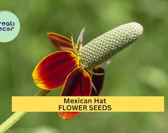 3pcs of 100mg Mexican Hat Seeds – Vibrant Red-Yellow Wildflowers for Pollinator, Meadow, and Prairie Garden Planting Seeds for Planting