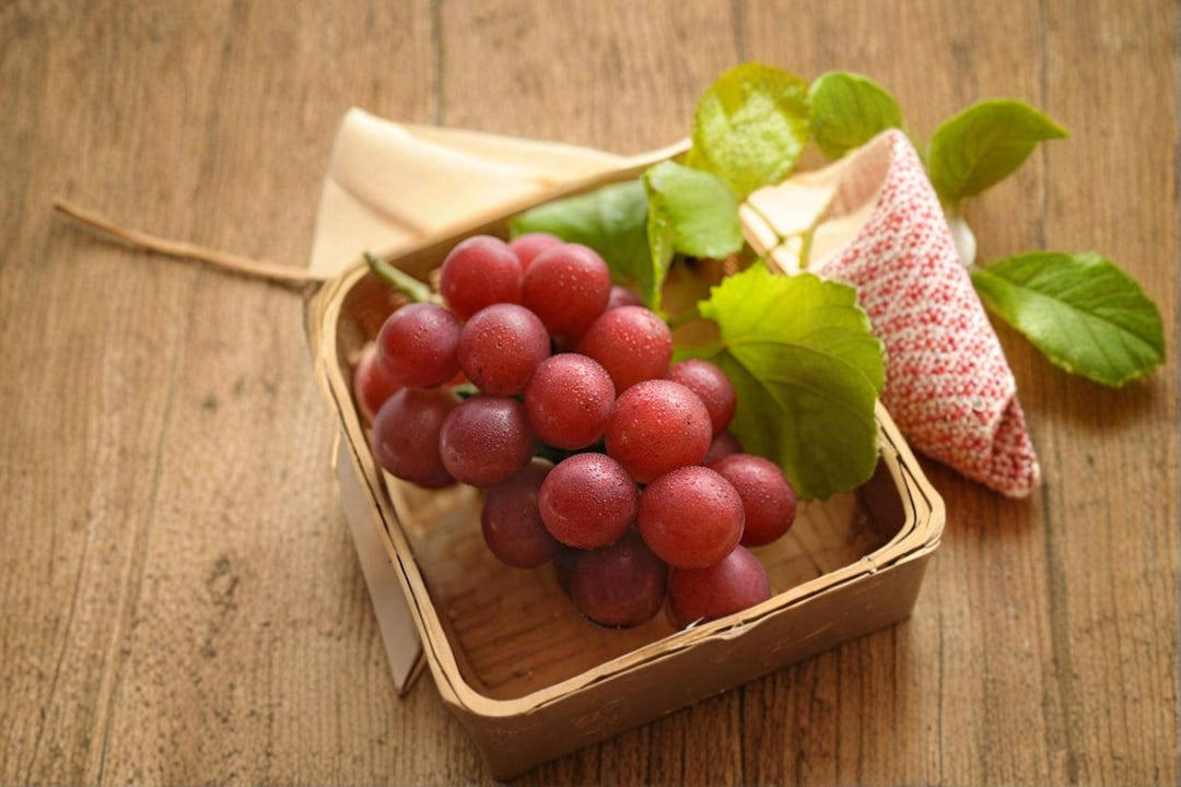 Vitis Ruby Ruby Roman Grape 5 Cuttings 6-8