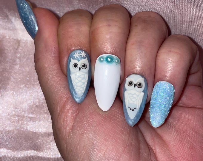 Kit 24 pieces. An owl in winter. Reusable. Press-on nails, false nails, shiny and matte, frosted blue, pearly and white. Sizes 0 to 9