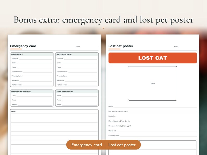 Cat Health Record Printable PDF, image 13