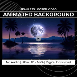 Puede incluir: Un vídeo de fondo animado con una luna llena sobre una tranquila masa de agua con palmeras silueteadas contra el cielo nocturno. El vídeo está etiquetado como "Seamless Looped Video" y "Animated Background". El texto en la parte inferior dice "No Audio | Ultra HD - MP4 | Digital Download".
