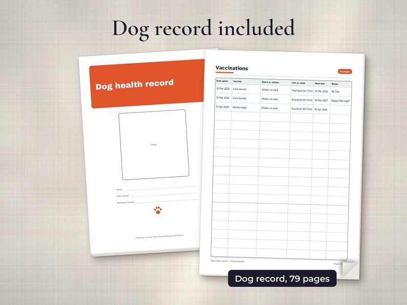 Pet Health Records Printable PDF Bundle, image 3