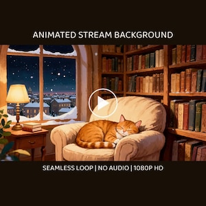 居心地の良い図書館の雪景色の窓のアニメーション壁紙（OBSストリーミング用） · 4K + 1080p MP4 画像 1