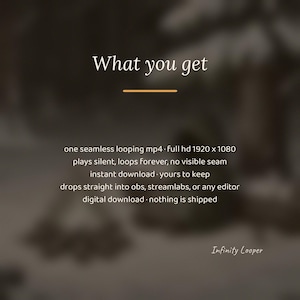 Pixel Art Snowy Forest Campfire Animated Backdrop for Work From Home · 4K + 1080p MP4 image 3