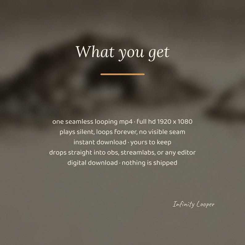 Fondo animado de fogata con dragón de cueva mística para VTubers · MP4 1080p imagen 3