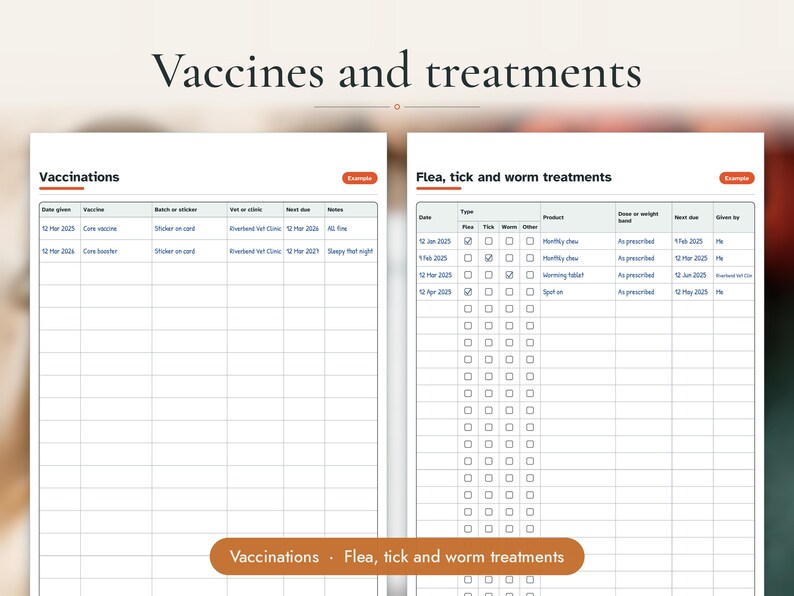 Cat Health Record Printable PDF, image 3