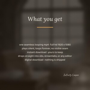 Cozy Library Fireplace Animated Background for Lofi Streams · 1080p MP4 image 3