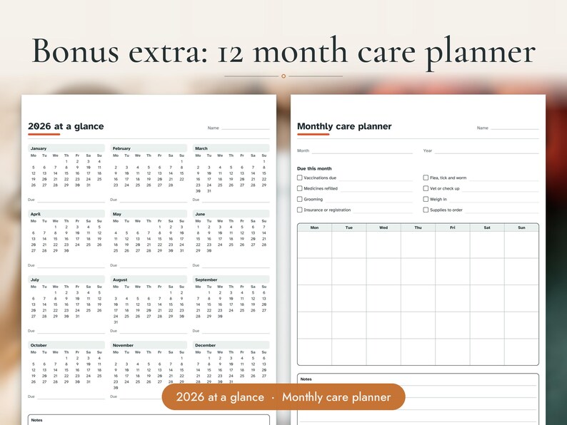 Cat Health Record Printable PDF, image 14
