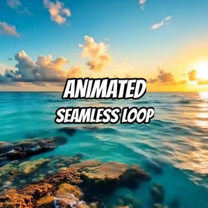 May include: A digital graphic featuring a tropical ocean scene at sunset with rocky formations in the foreground and a bright blue sky with clouds. The text ANIMATED SEAMLESS LOOP is displayed in bold white letters with a black outline in the center.