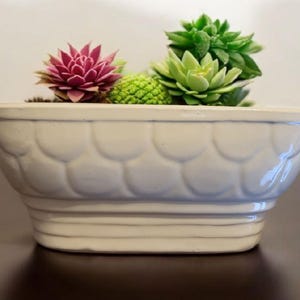 May include: A white ceramic planter with a textured surface, featuring a variety of succulents in shades of green, pink, and purple.