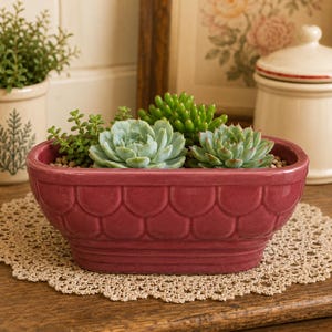 Vintage Cookson Pottery #CP356-Mid Century Succulent Planter-Rustic Farmhouse Decor
