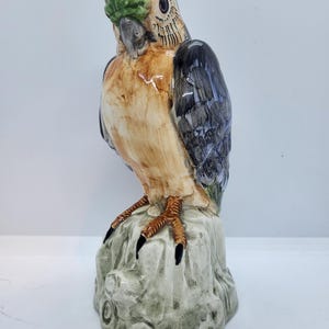 May include: A ceramic parrot figurine, perched on a rock-like base. The parrot features a green head, tan chest, and black and blue wings. Its beak is gray, and its talons are black. The figurine is painted with detailed feather patterns.