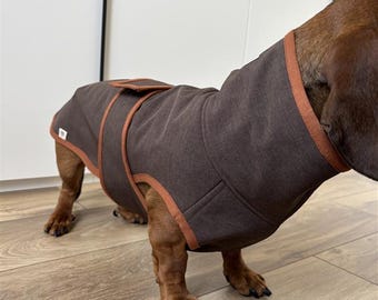Dachshund Raincoat Softshell