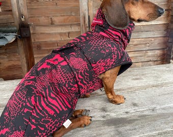 Könnte beinhalten: Ein Dackel, der einen rosa-schwarzen Hundemantel mit hohem Kragen trägt. Der Mantel hat einen Reißverschluss und ein Markenetikett an der Seite.