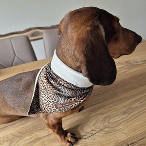 dog scarf